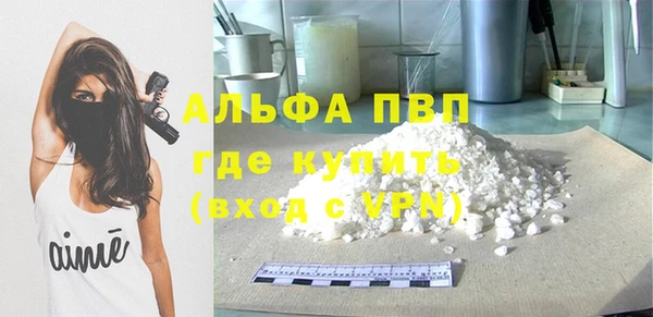 ГАЛЛЮЦИНОГЕННЫЕ ГРИБЫ Няндома