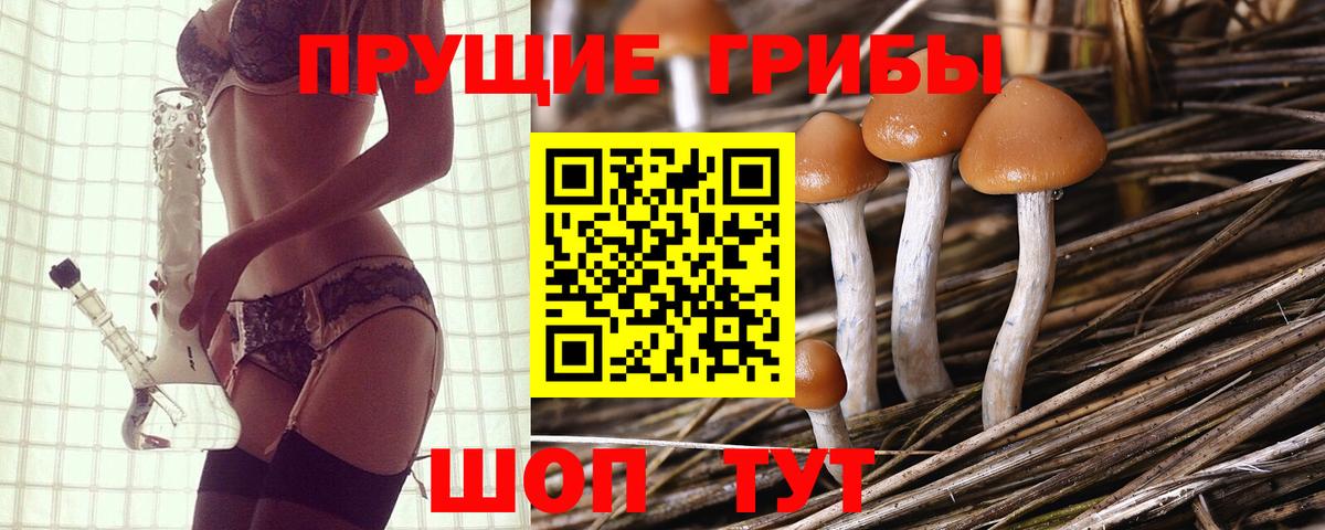Псилоцибиновые грибы MAGIC MUSHROOMS Благовещенск